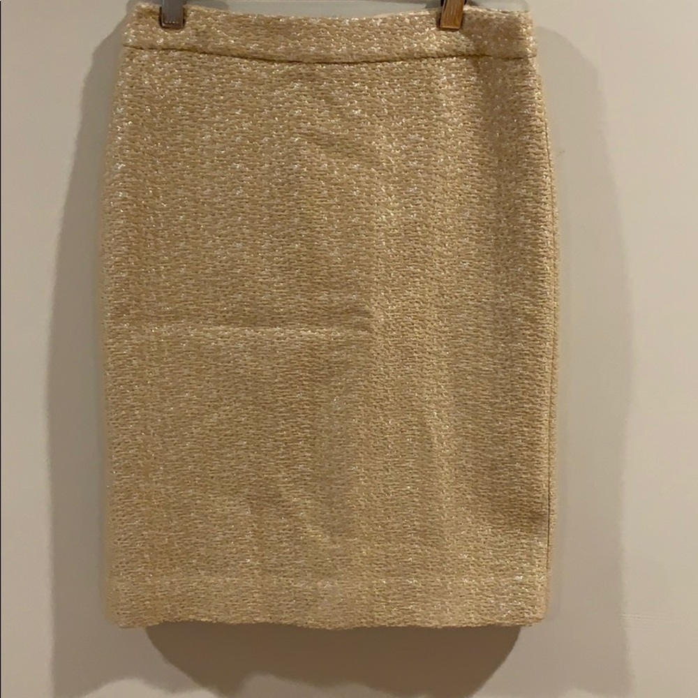 J Crew size 4 skirt